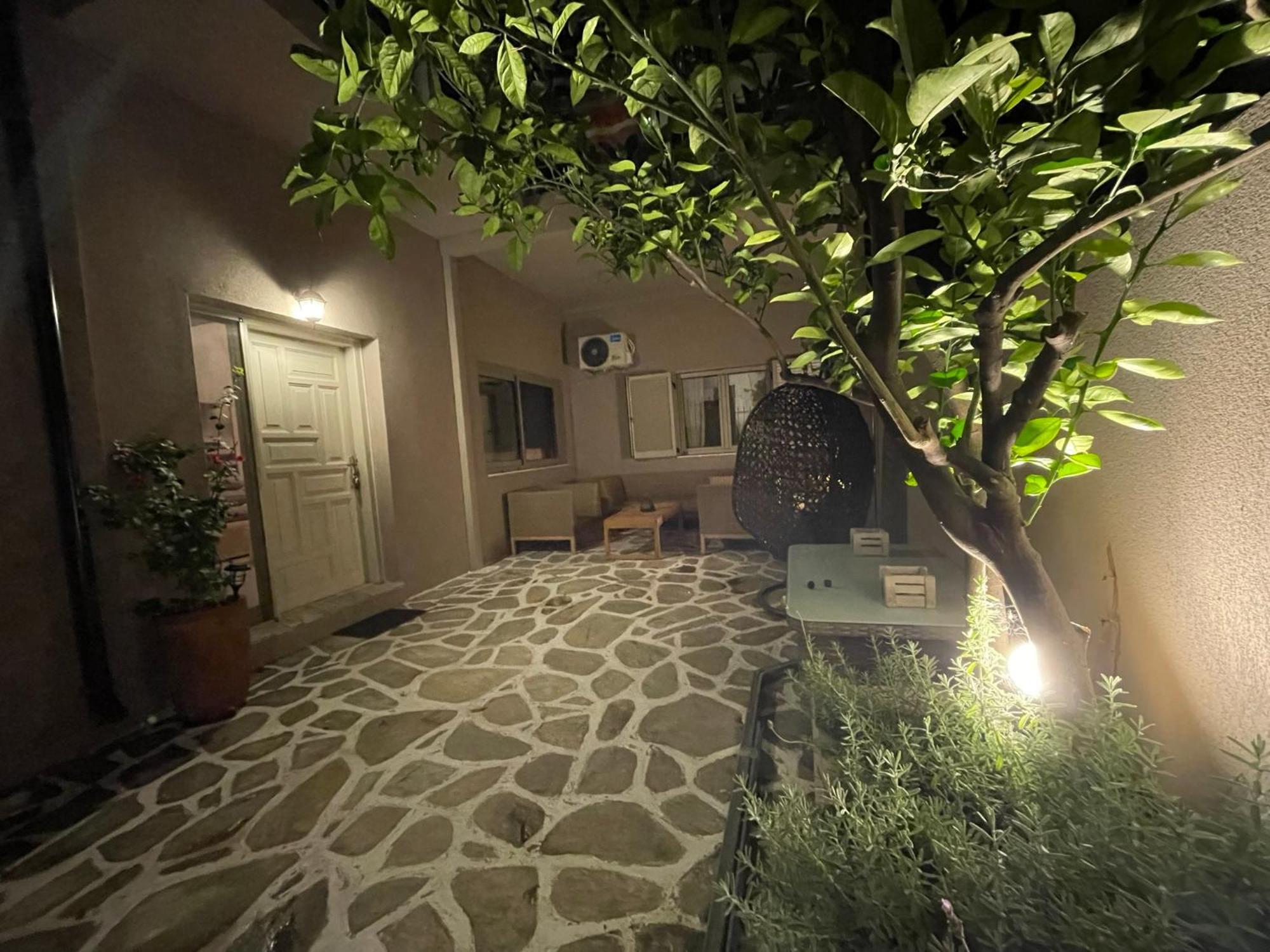 Apartment Lemon Tree *